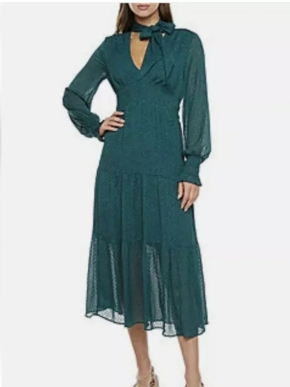 NWT RYEGRASS Emerald Green Clip Dot Long Sleeve Tie Neck Maxi Dress, Size Med